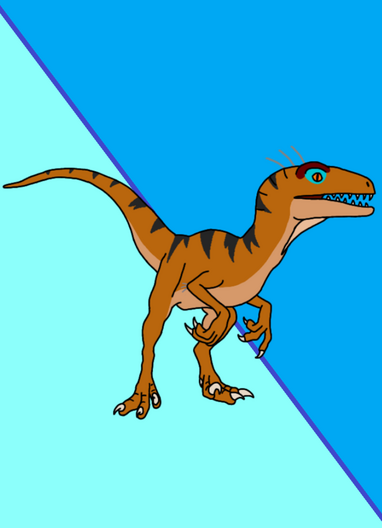 Raptor (OC)