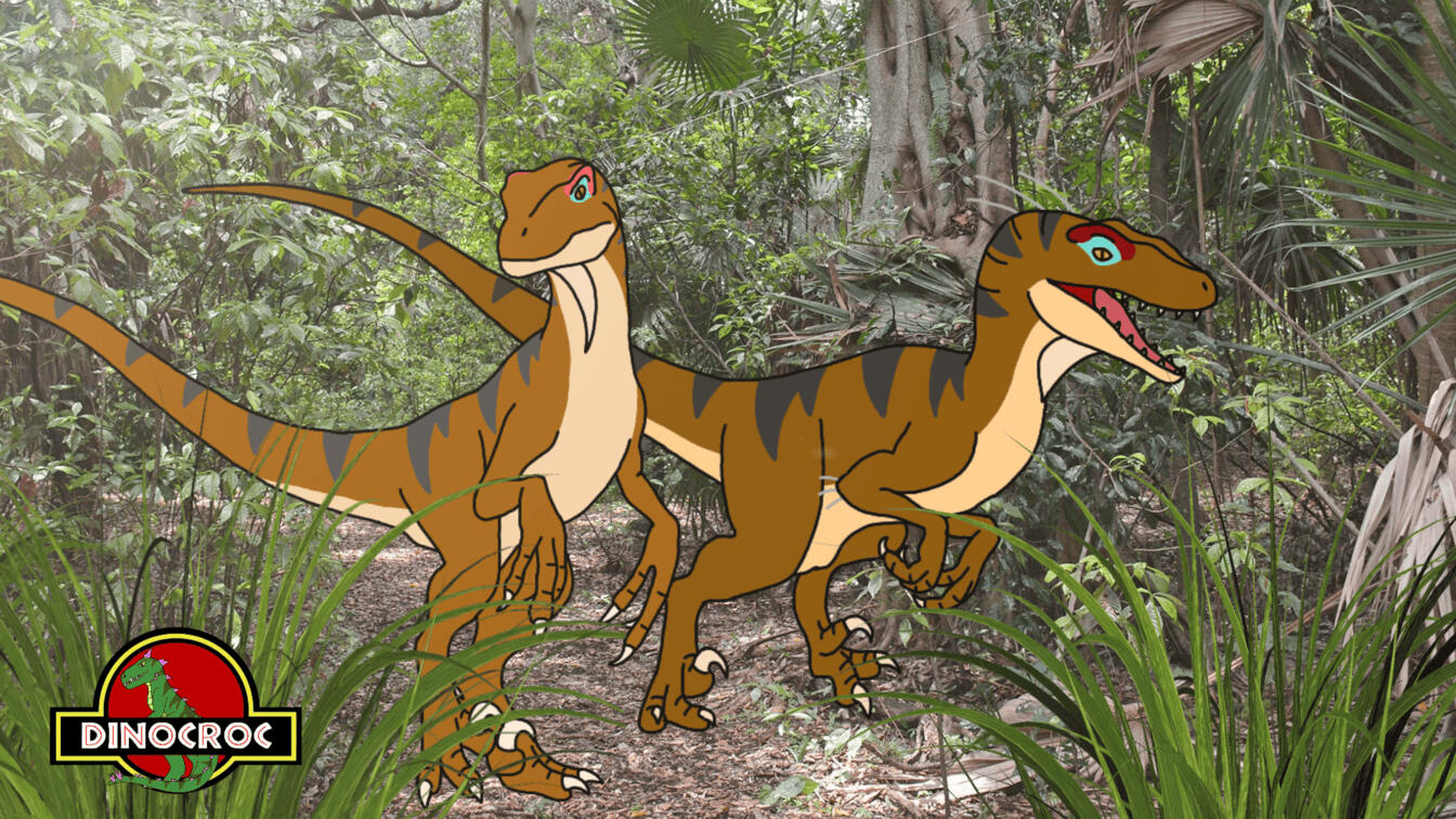 Raptors in the Jungle